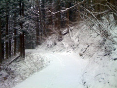 snowmonkey Road